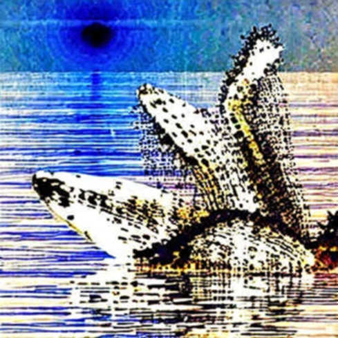 XRP's Whale Accumulation: A Floor Built on Silence, Not Demand XRP's Whale Accumulation: A Floor Built on Silence, Not Demand
