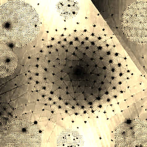 From Seoul’s Silicon Heartbeat: Decoding the KOSPI’s 3% Spike Through a Cryptographic Lens From Seoul’s Silicon Heartbeat: Decoding the KOSPI’s 3% Spike Through a Cryptographic Lens