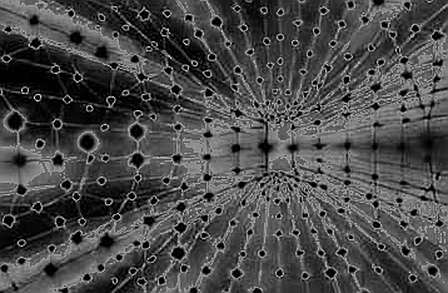 Polygon Ithaca: The Hard Fork That Isn’t Scaling Anything
