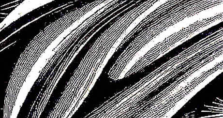 The 66.5% Illusion: Why Prediction Markets Can't Predict Anything The 66.5% Illusion: Why Prediction Markets Can't Predict Anything
