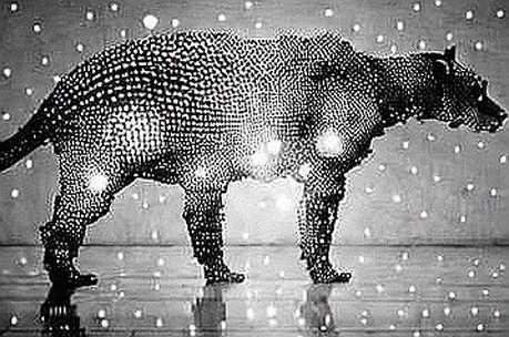 The Due Diligence Mirage: How a Hidden Vulnerability Forced a Protocol M&A Rethink The Due Diligence Mirage: How a Hidden Vulnerability Forced a Protocol M&A Rethink