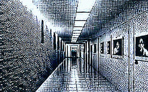 Strategy's 'Net Bitcoin Per Share': A Transparent Mirror or a Mask for Leverage?