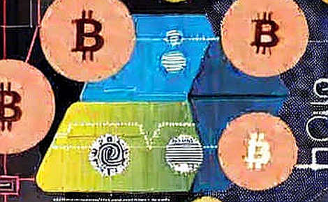 The Endorsement Paradox: How One Political Primary Exposes the Centralization Fault Line in Crypto Governance