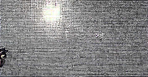 The $80 Billion Illusion: Why Today's Bloodbath Wasn't a Panic, It Was a Purge The $80 Billion Illusion: Why Today's Bloodbath Wasn't a Panic, It Was a Purge